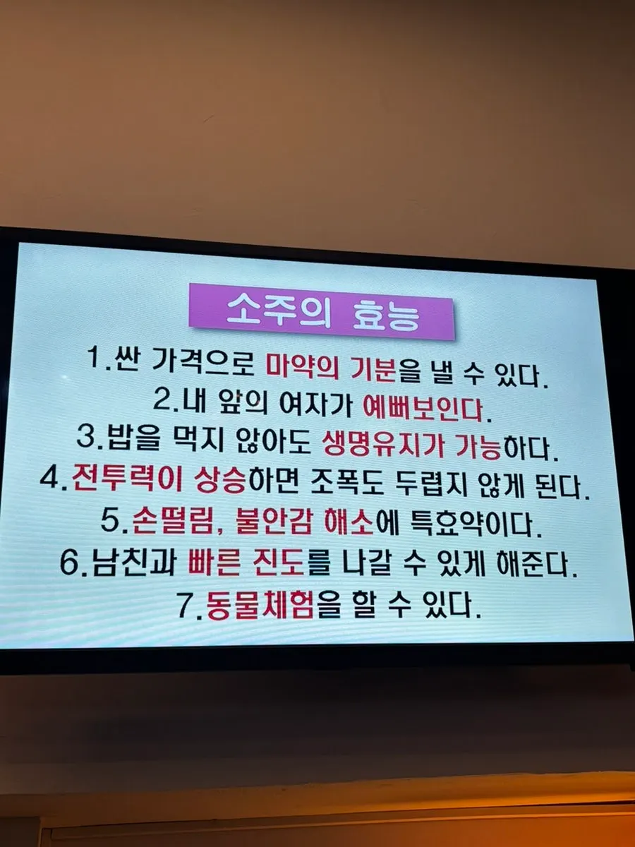 야장 자리에서 본 조아죽네쭈꾸미 밤 풍경