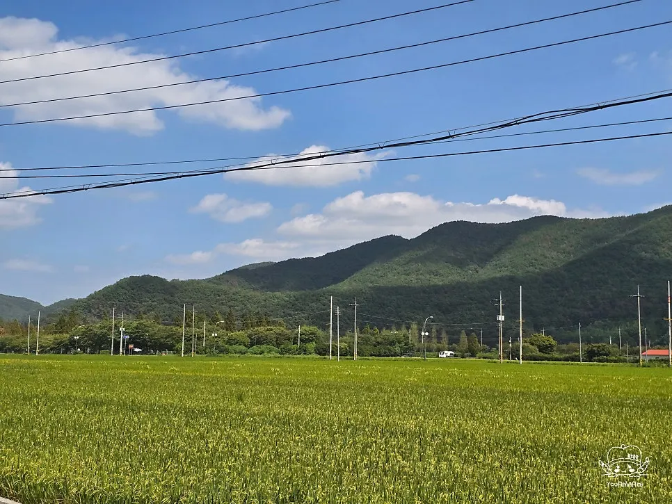 The entrance of Jogane Sotbap and surrounding scenery