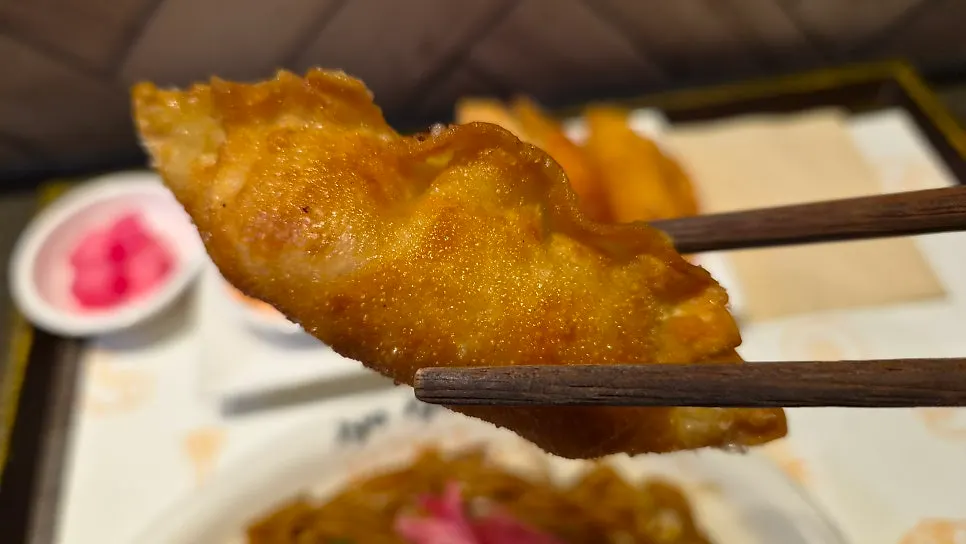 Alternating bites of yakisoba and mentaiko gyoza