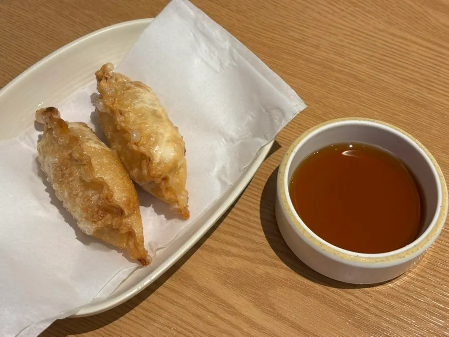Fried dumplings received through the review event
