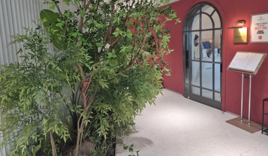 View of the area around the restaurant entrance