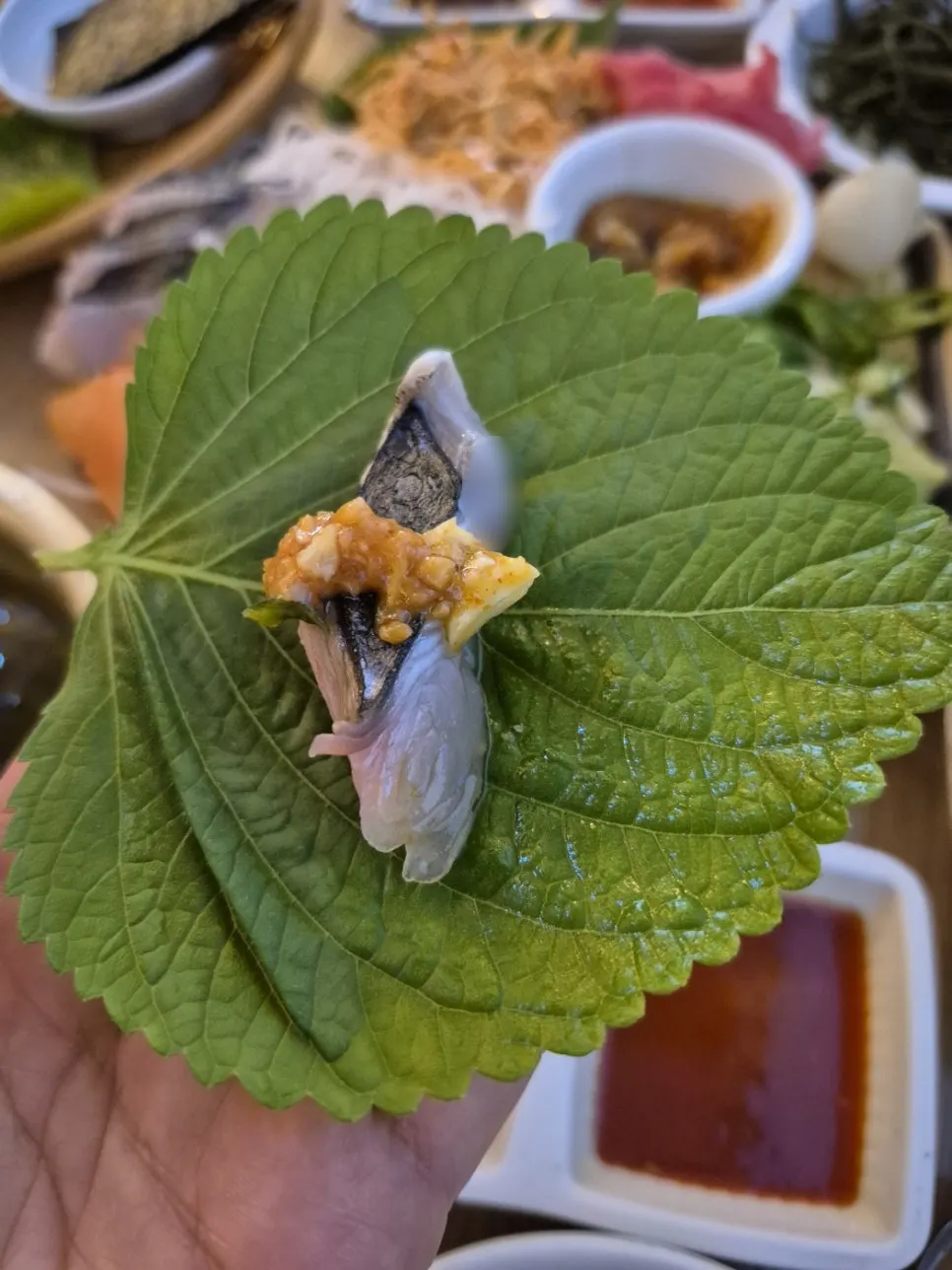 숙성회 모둠 회 클로즈업