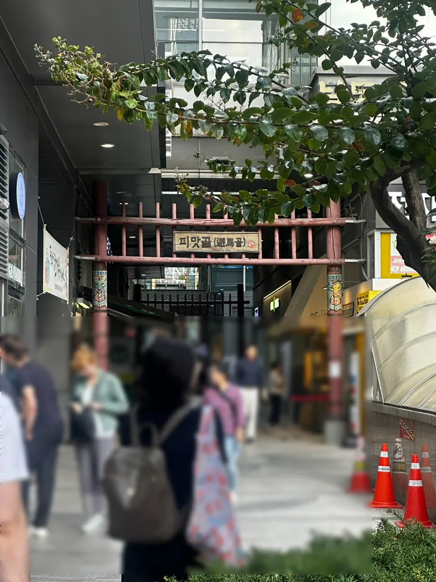 View of the Pimatgol alley entrance near Jongak Station