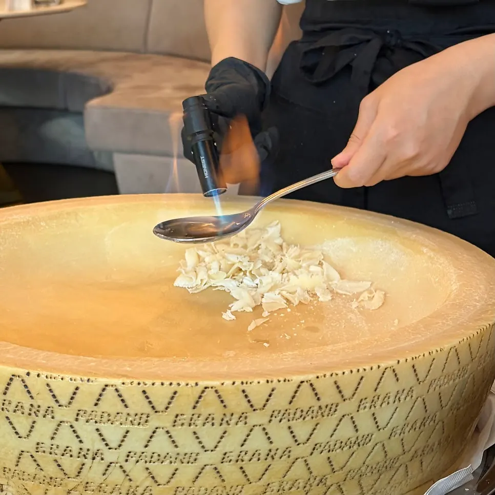 A giant cheese wheel brought to the table