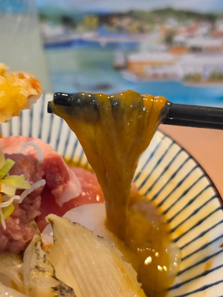 Konowata on top of the premium kaisendon