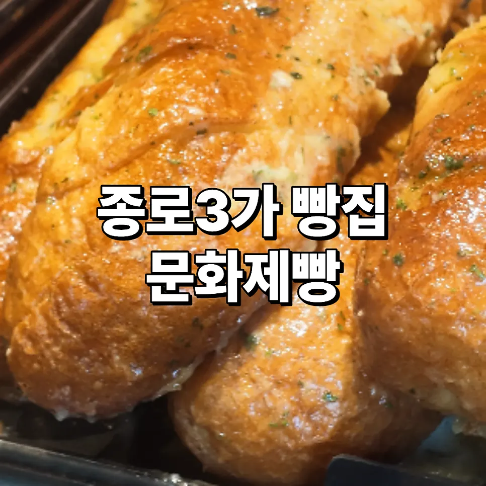 문화제빵 청계천 포장 피크닉