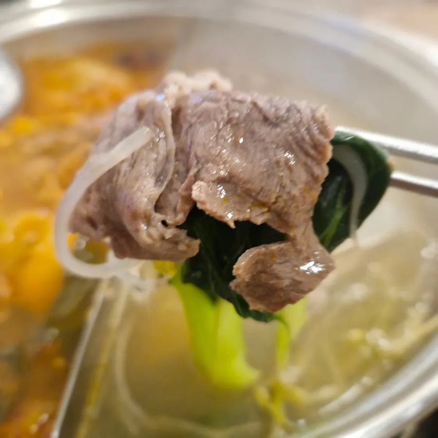 Split-broth hot pot with handmade dumplings, beef, and vegetables