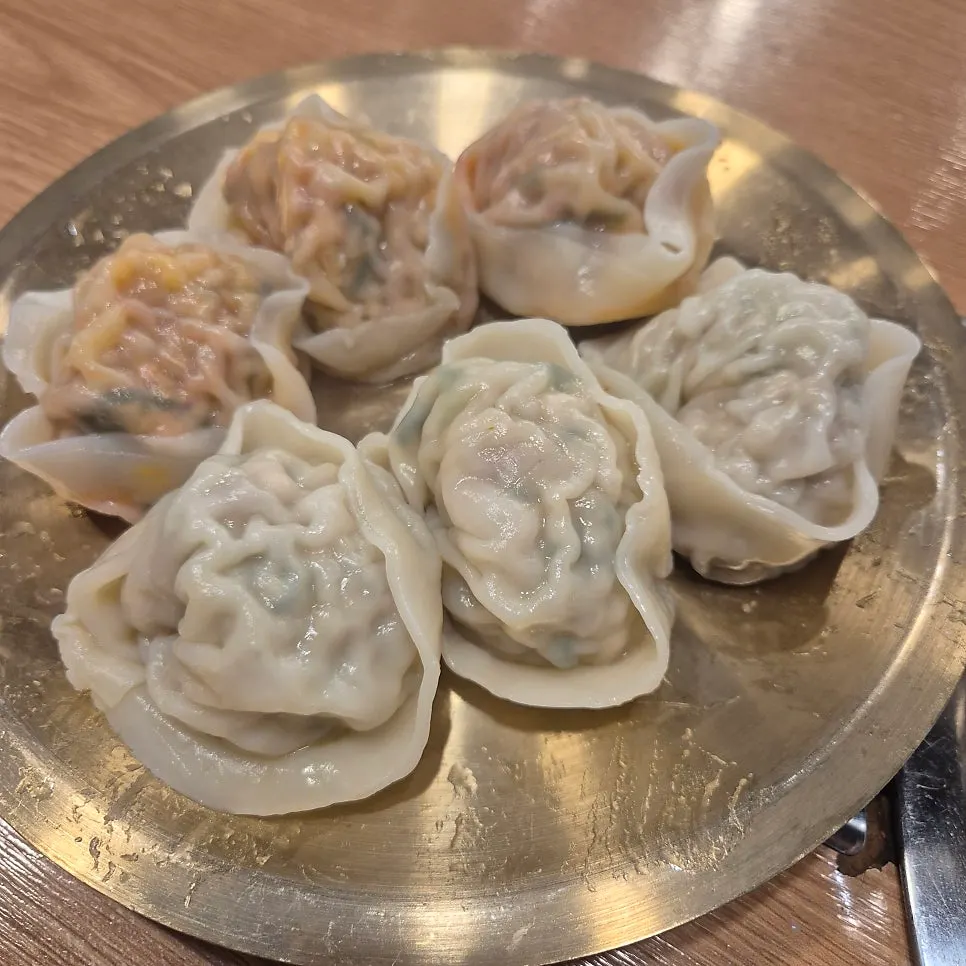 A steaming plate of boiled mandu