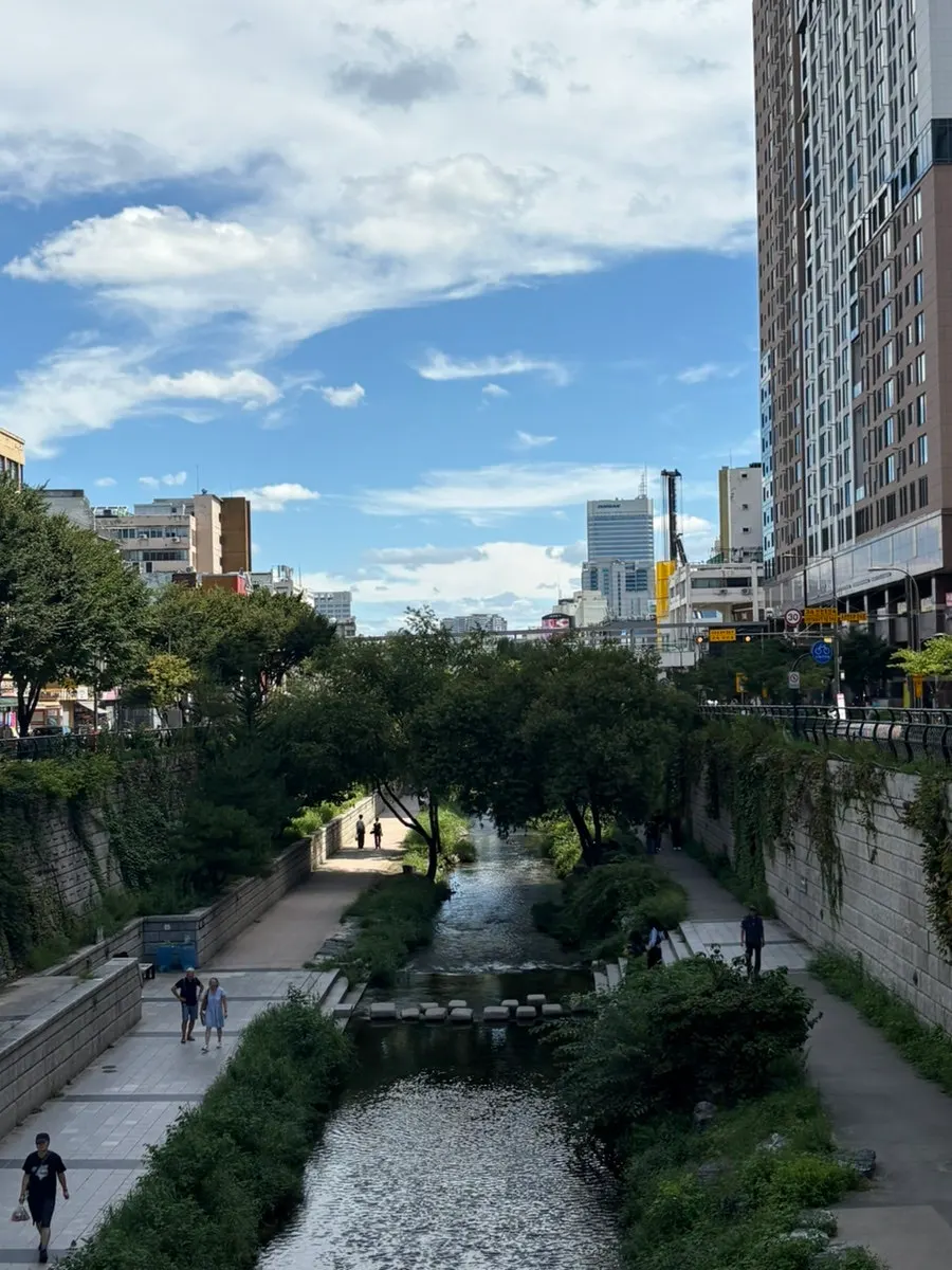 The day I visited Munhwa Bakery for a Cheonggyecheon picnic