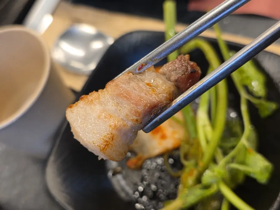 Grill with fully cooked meat