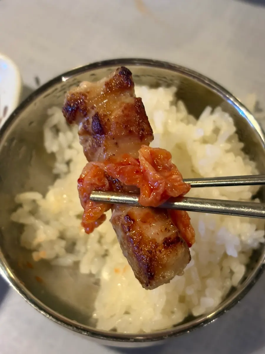 구운 삼겹살 한 점 클로즈업