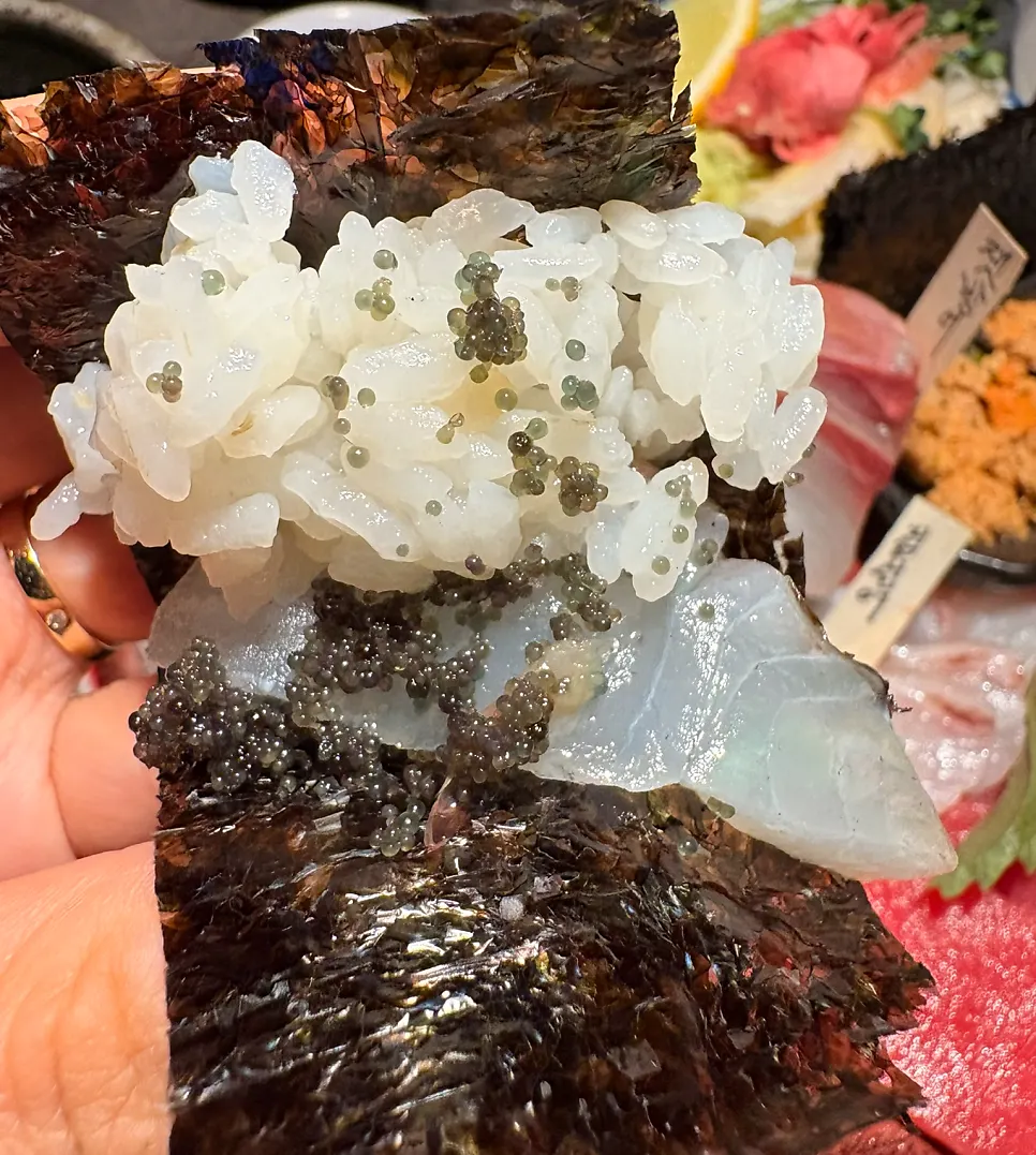 A piece of live shrimp sashimi held with chopsticks