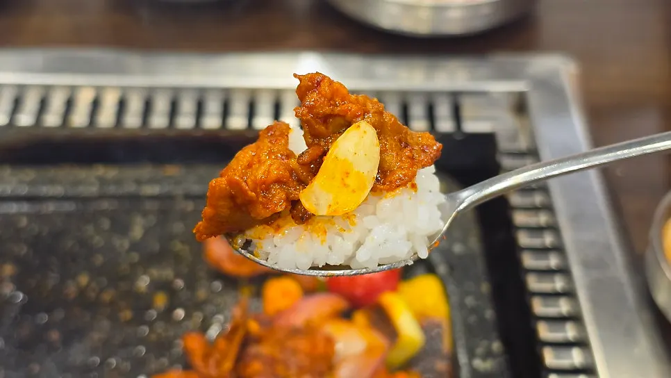 Bowl of rice served with yeolmu and napa cabbage kimchi
