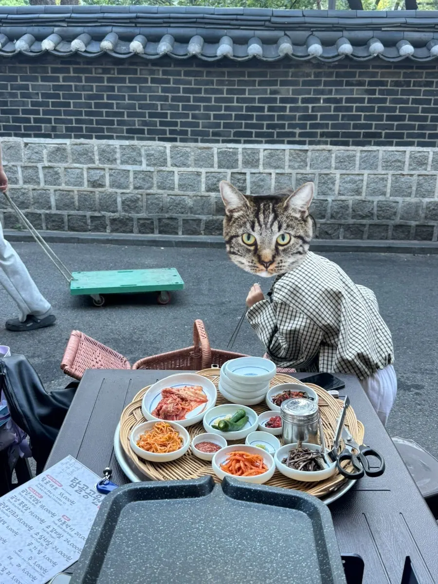 돌담 옆 야장 테이블 뷰