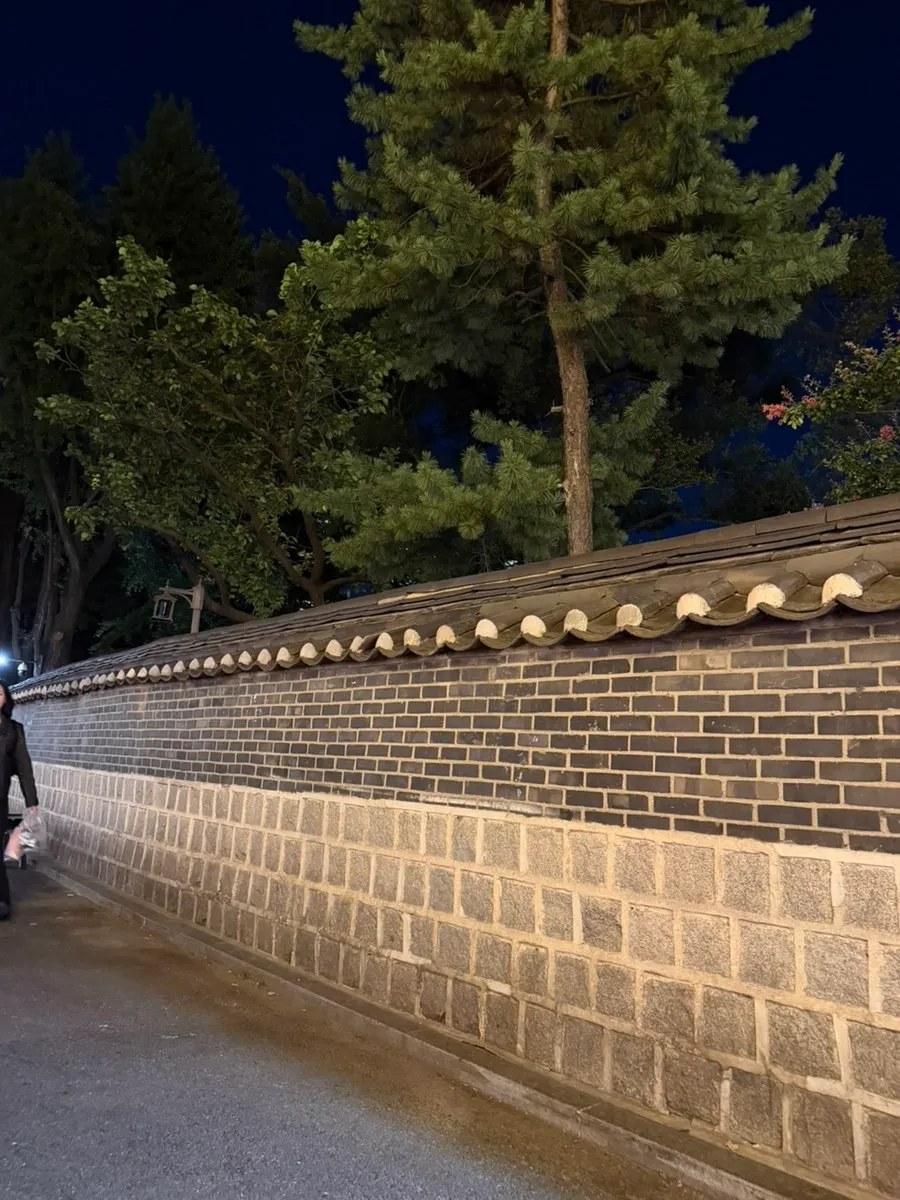 탑골공원 담벼락 옆 야장 풍경