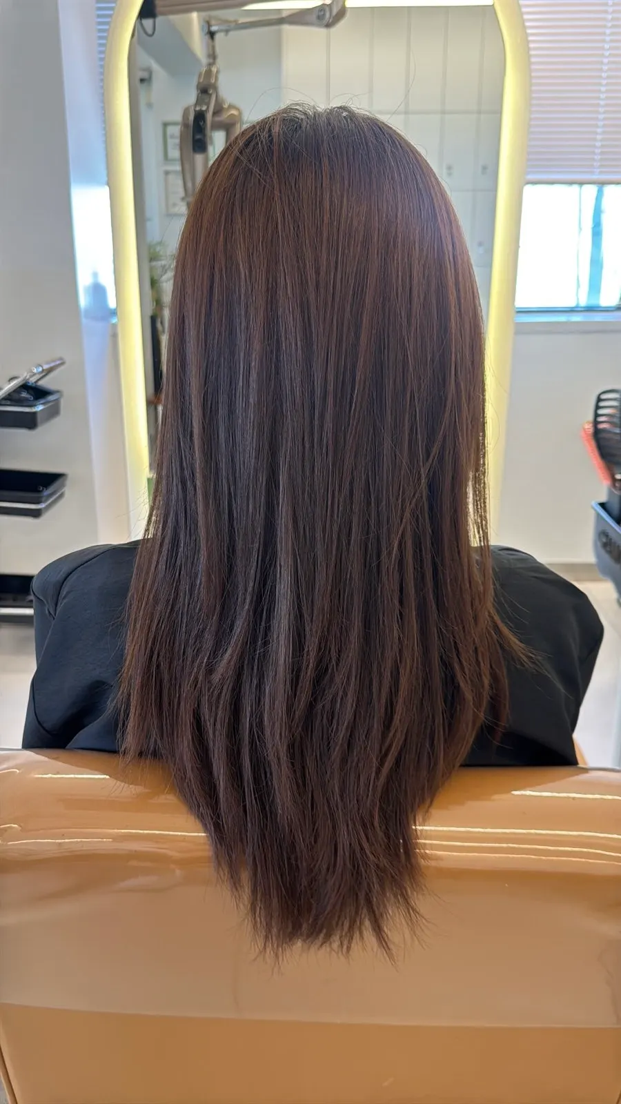 Vertical photo showing hair condition before coloring