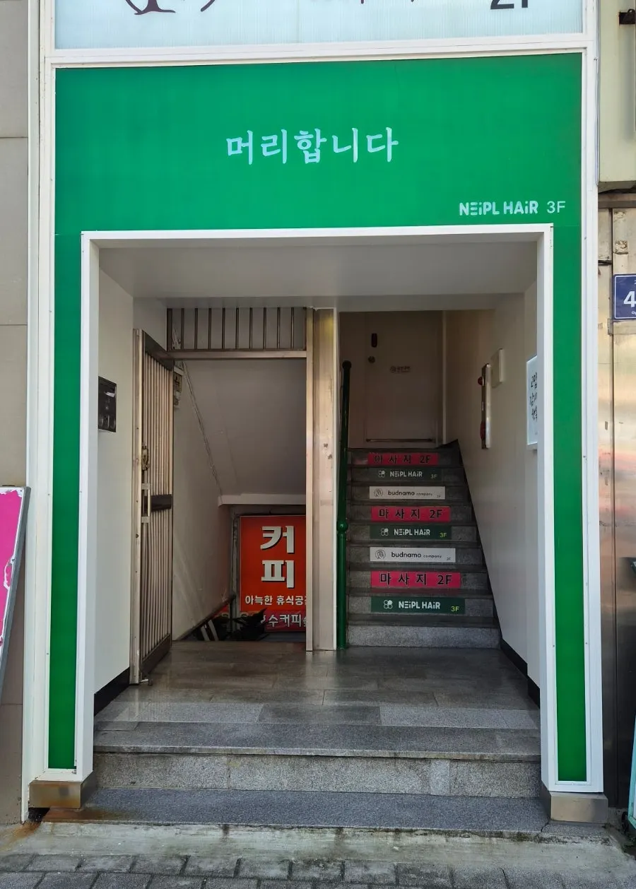 화이트톤과 식물이 어우러진 매장 공간