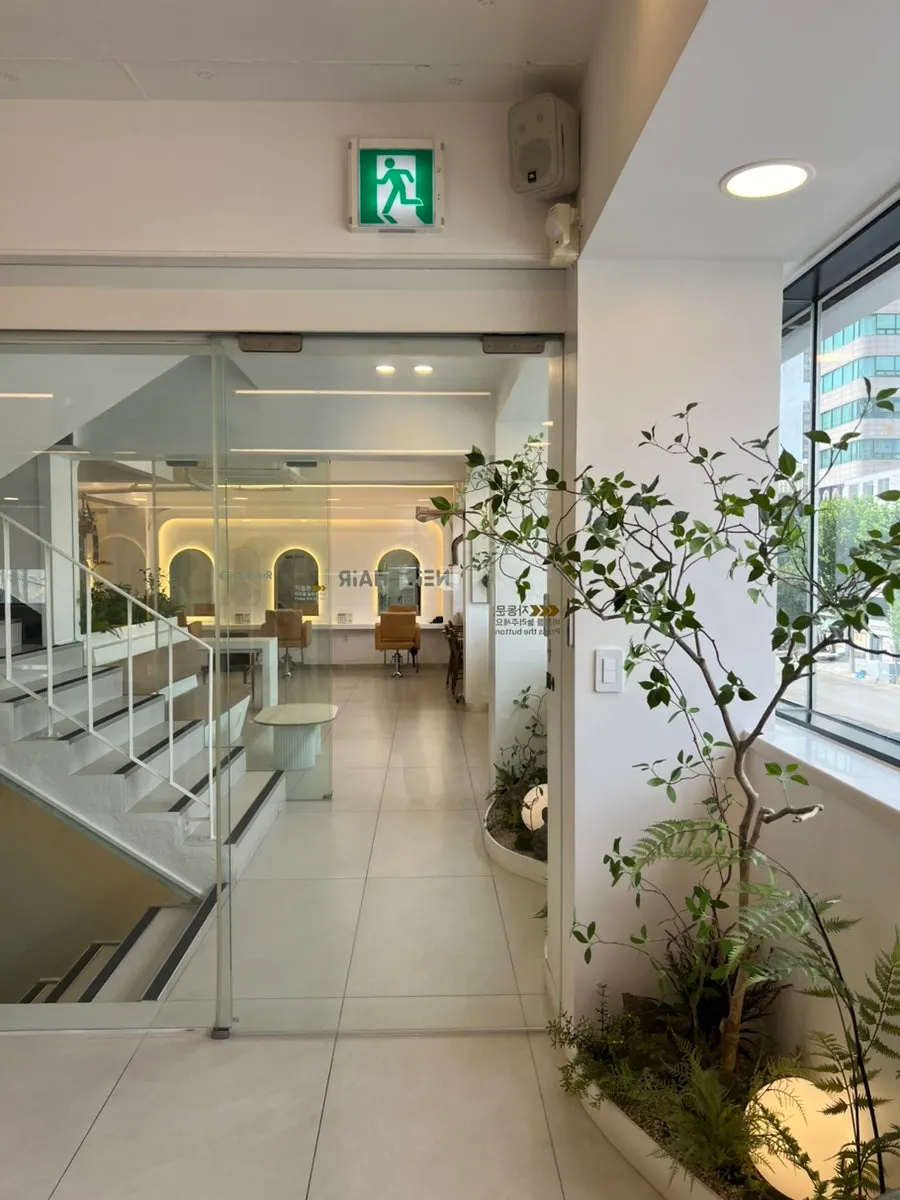 Spacious, bright salon interior with plants
