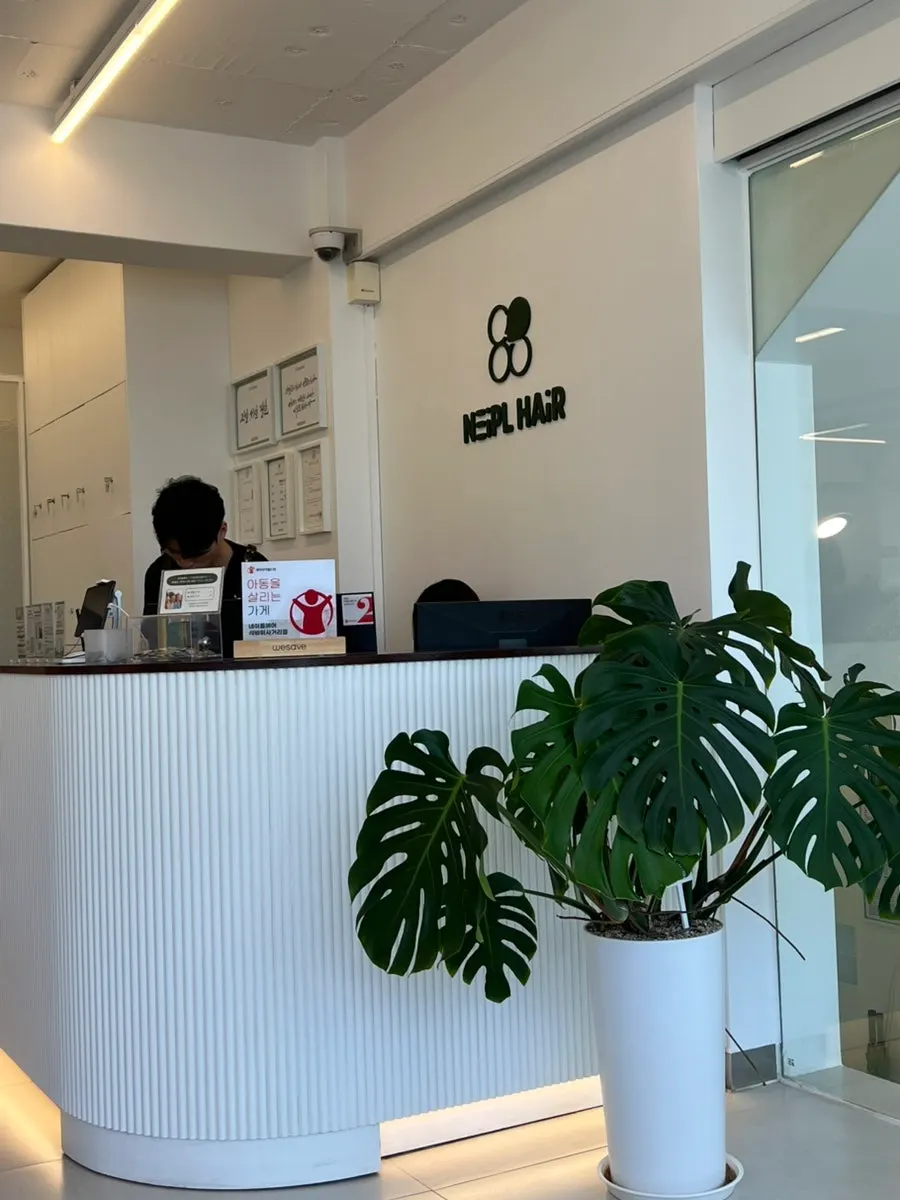 Overview of Naple Hair's nature-friendly interior