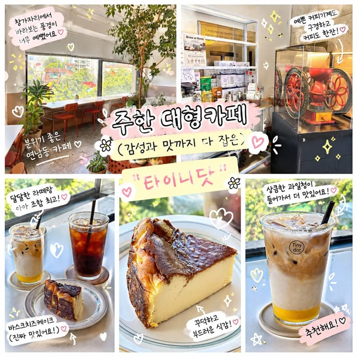 인천 주안동 타이니닷 대표 사진