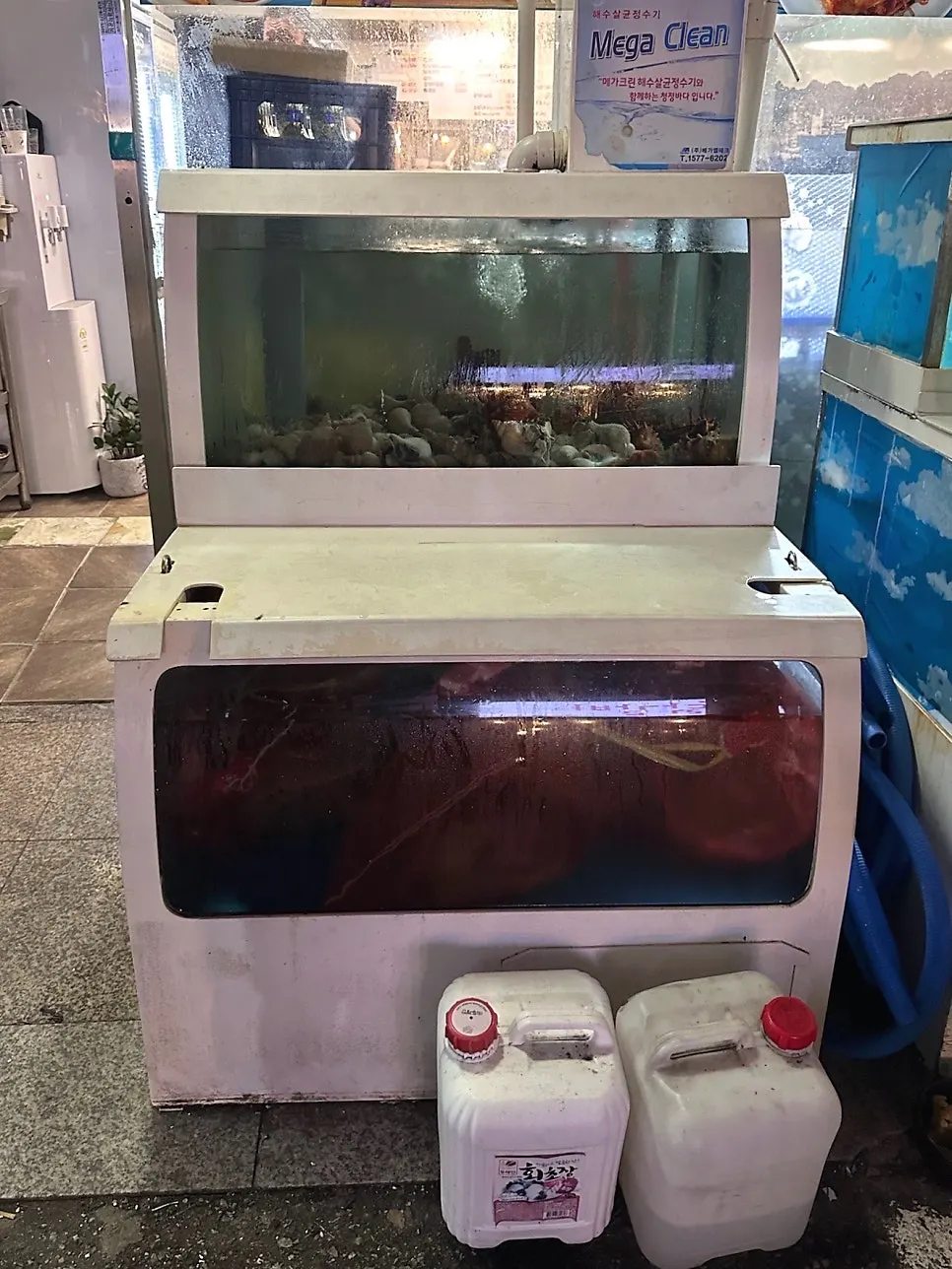 Seafood tank in front of the restaurant entrance