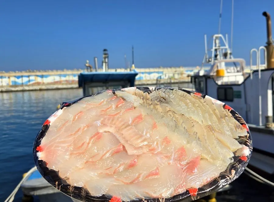 강릉 주문진 바다낚시 나온 풍경