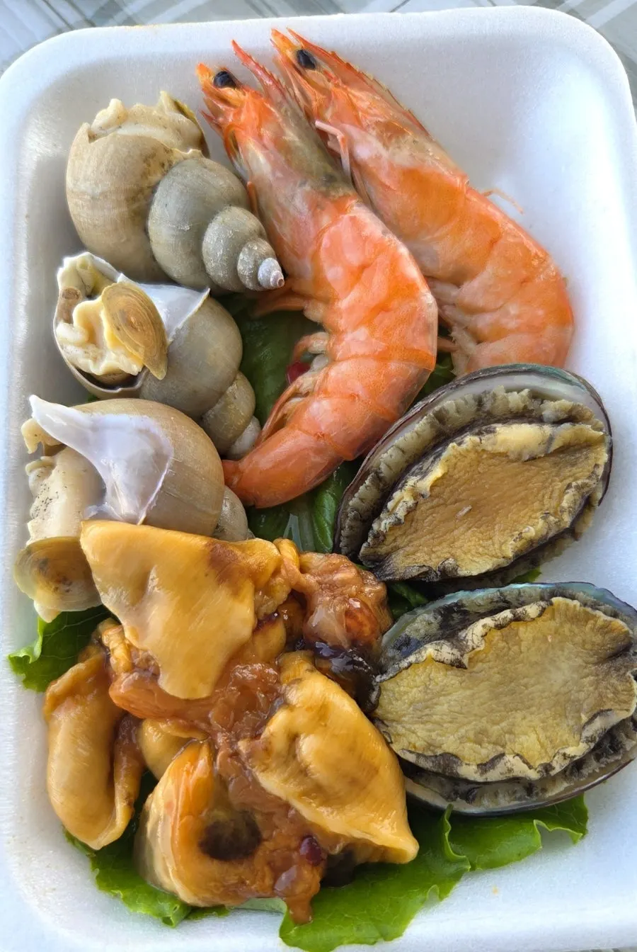 바다 보며 즐긴 광어 도다리 회 한 접시