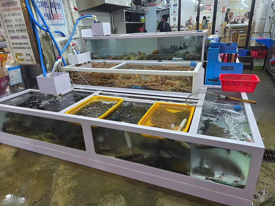 Minja Hoetjip display counter with fish visible in the tank