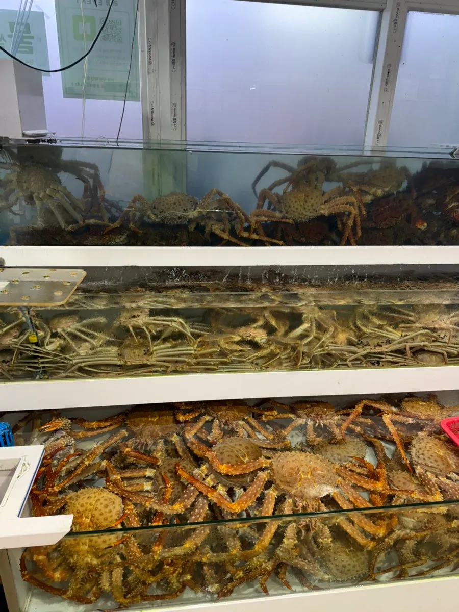 Dried seafood shop at Jumunjin Fish Market