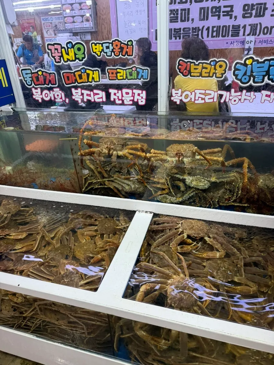 Interior shopping arcade at Jumunjin Fish Market