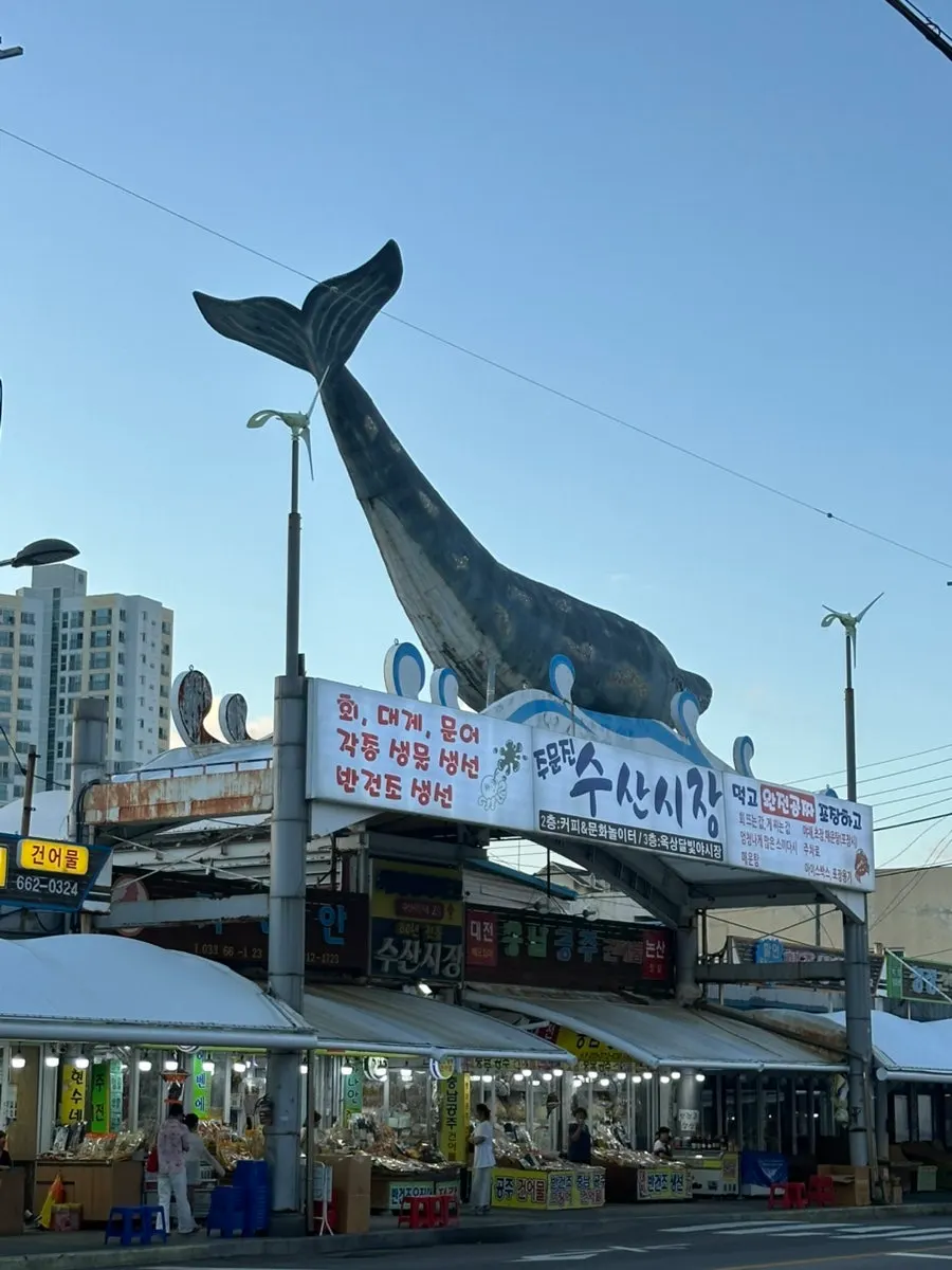 Walking route from the parking tower to Jumunjin Fish Market