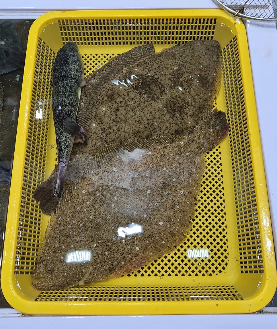 Well-maintained fish tank at Minja Hoetjip