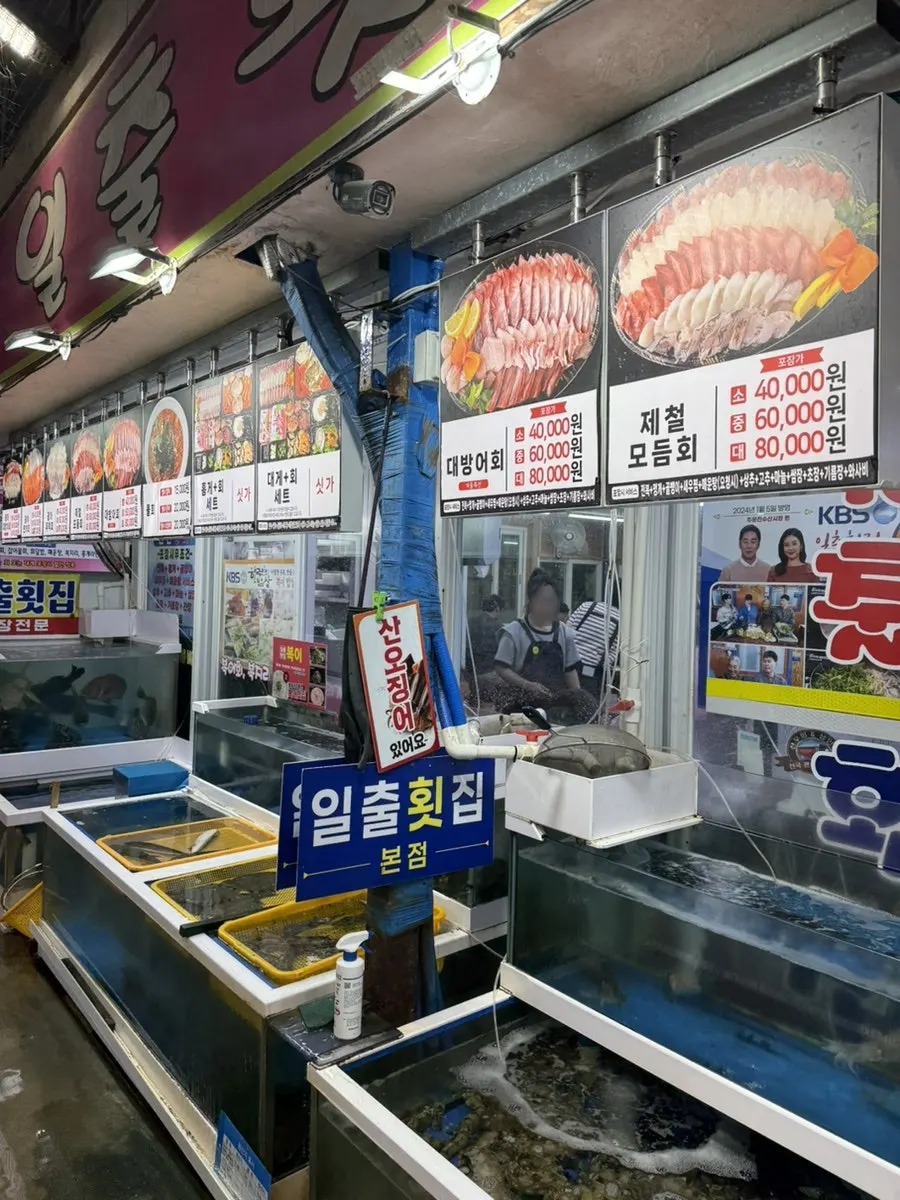 일출횟집 수조 속 활어와 해산물