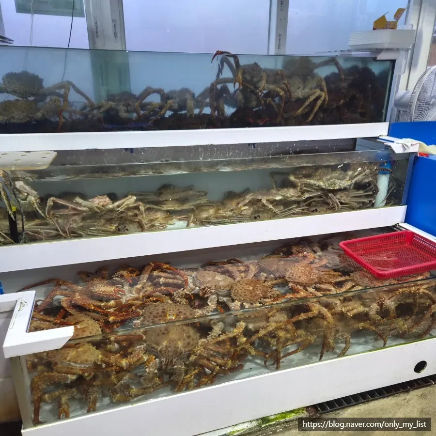 King crab tank in front of Ilchul Hoetjip