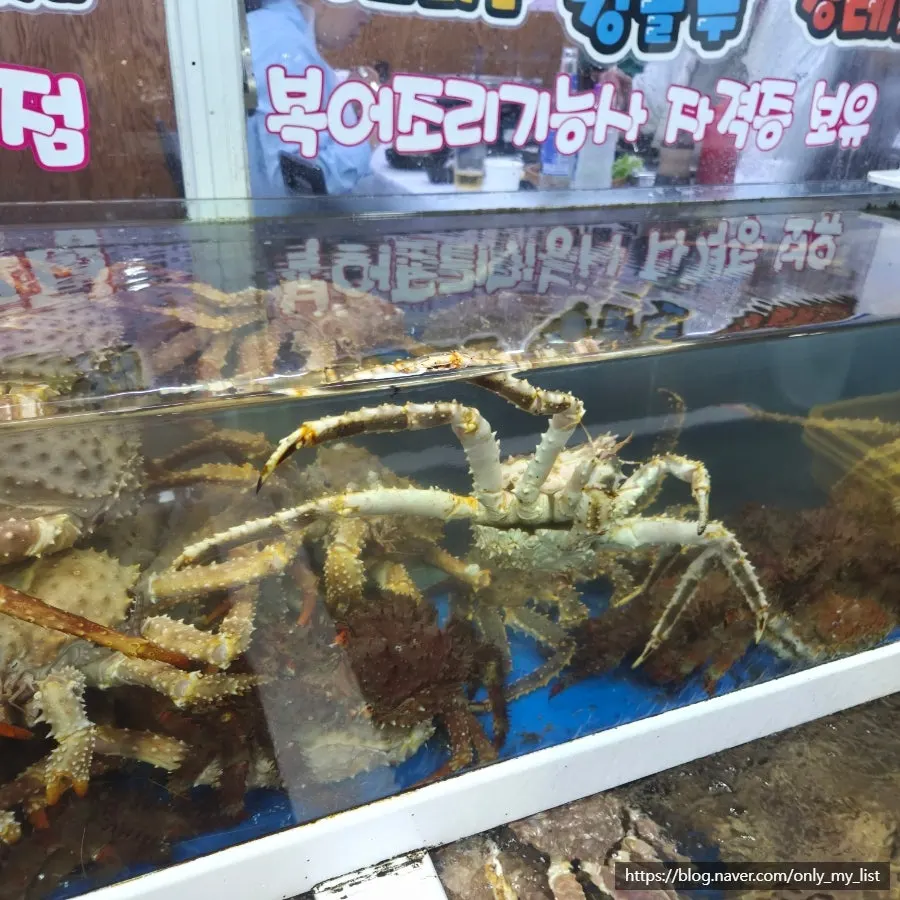 King crabs inside the tank
