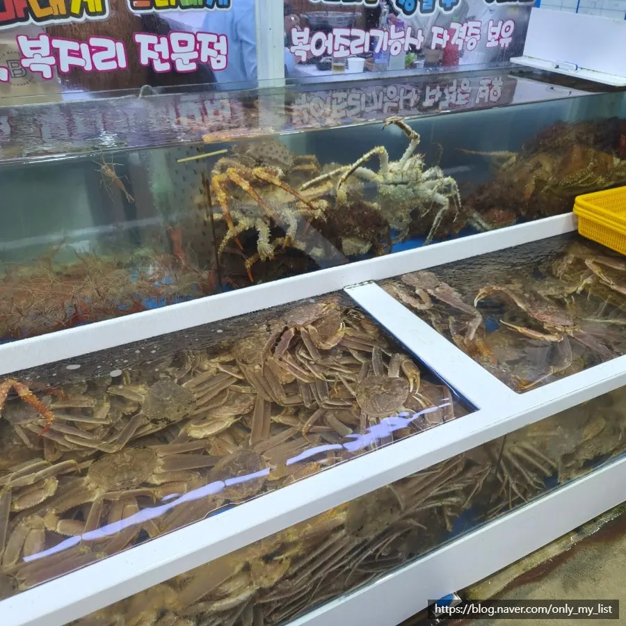 King crab display tank at Ilchul Hoetjip