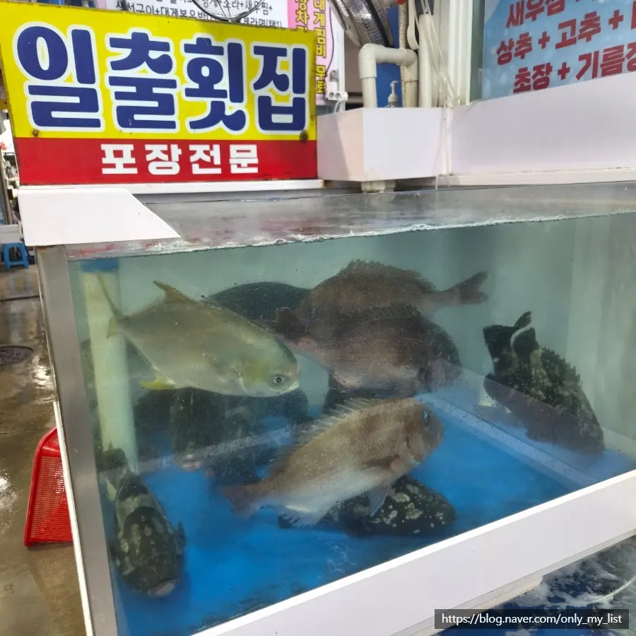 Seafood displayed in front of Ilchul Hoetjip