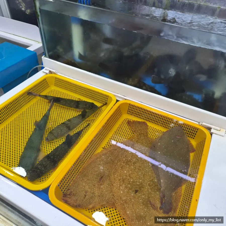 Overview of seafood tanks at the fish market restaurant
