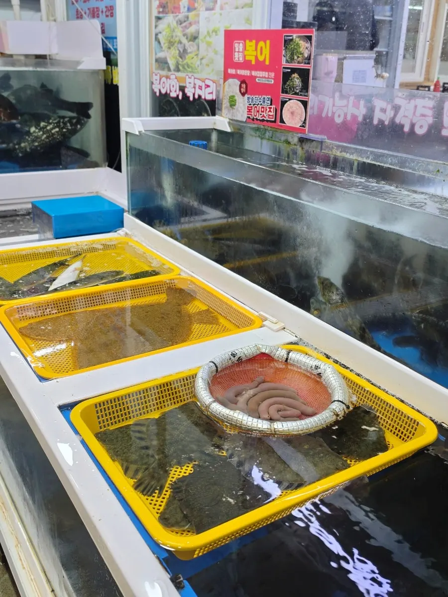 포장해온 회와 함께 담긴 해산물