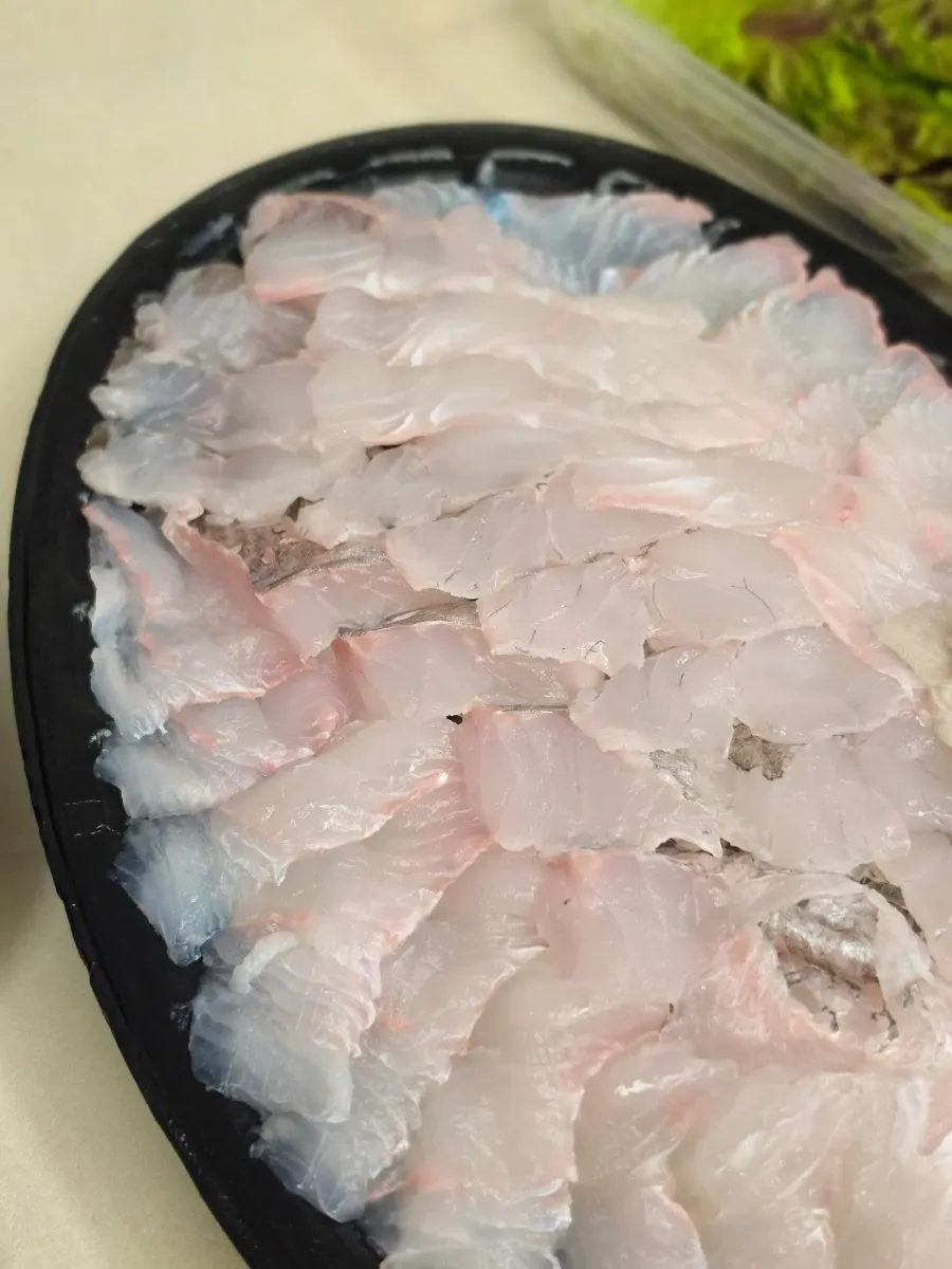 젓가락으로 집은 우럭 회 한 점