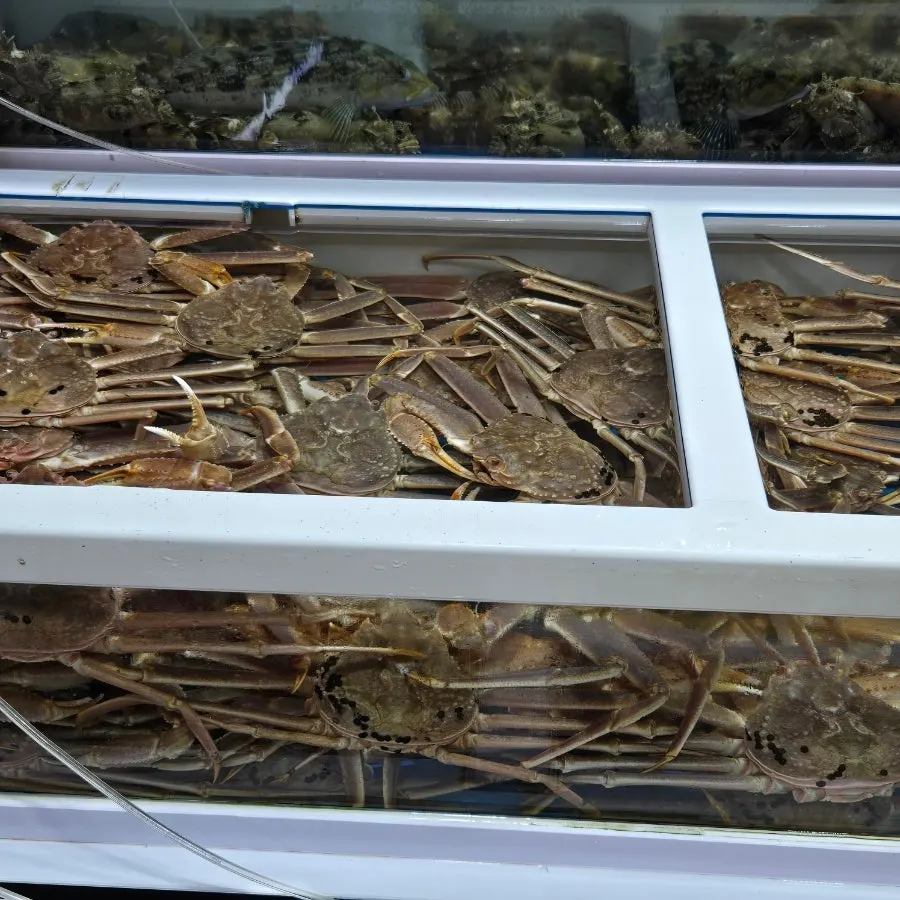Live-fish tanks in front of Minja Hoetjip