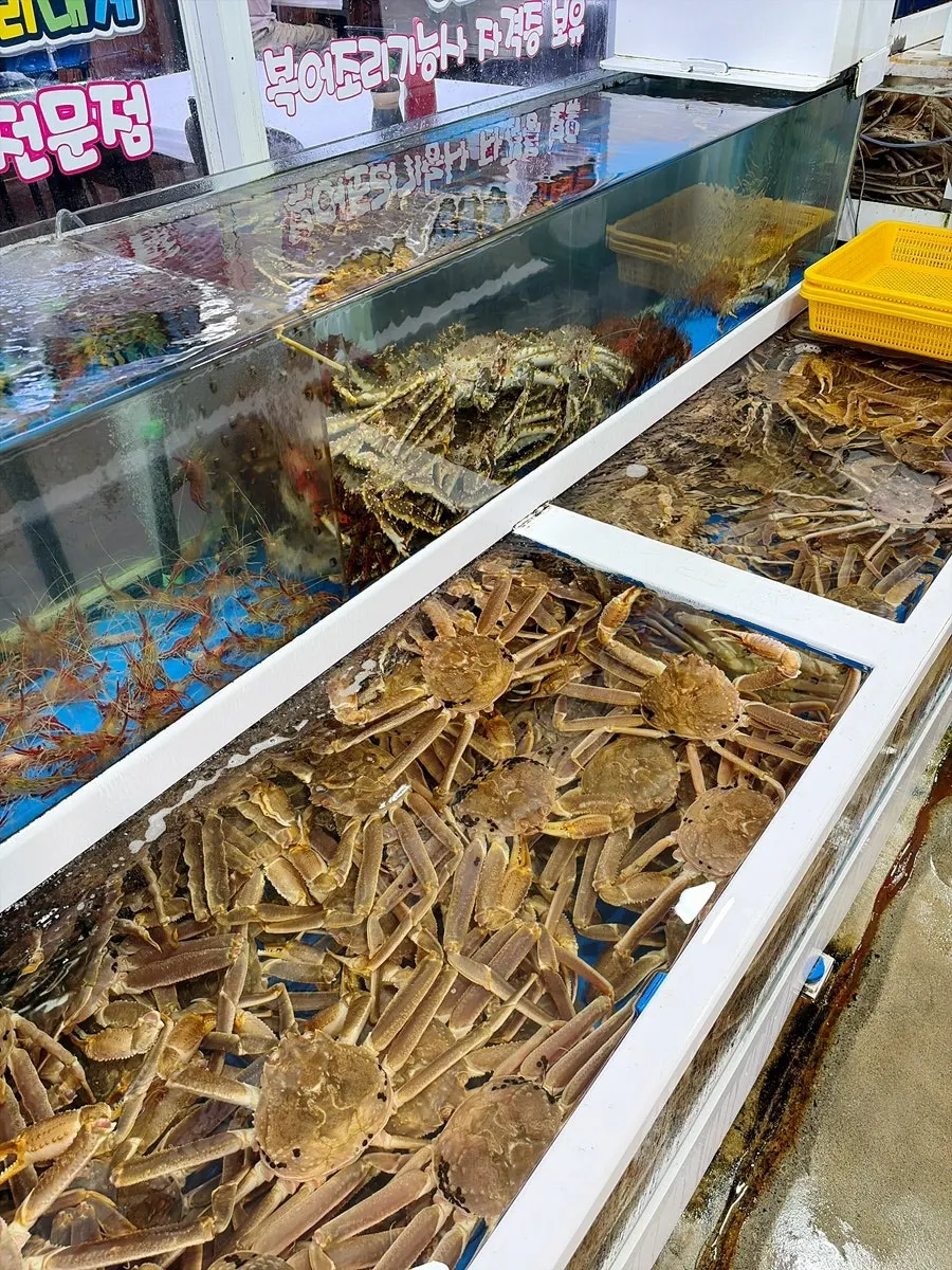 Live fish tank in front of Ilchul Hoetjip