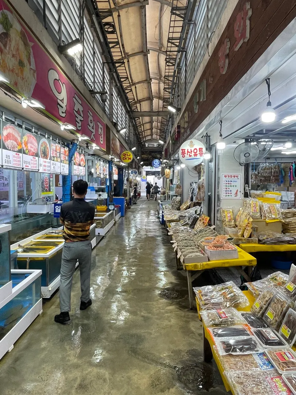Takeaway sashimi from Minja Hoetjip at Jumunjin Fish Market