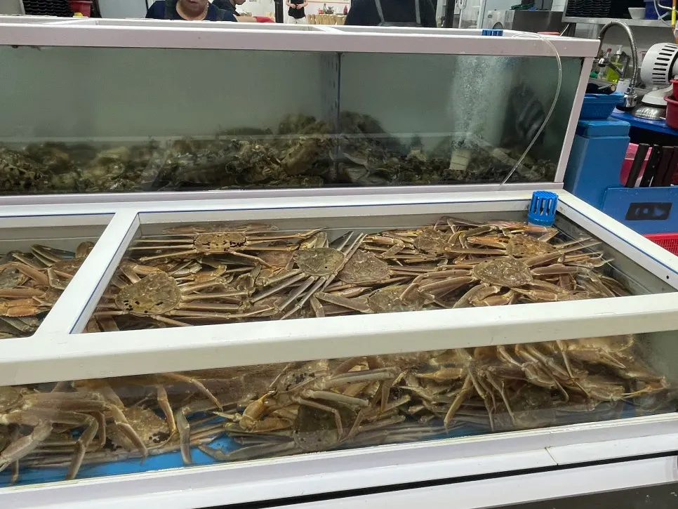 Snow crab and king crab tank at Minja Hoetjip