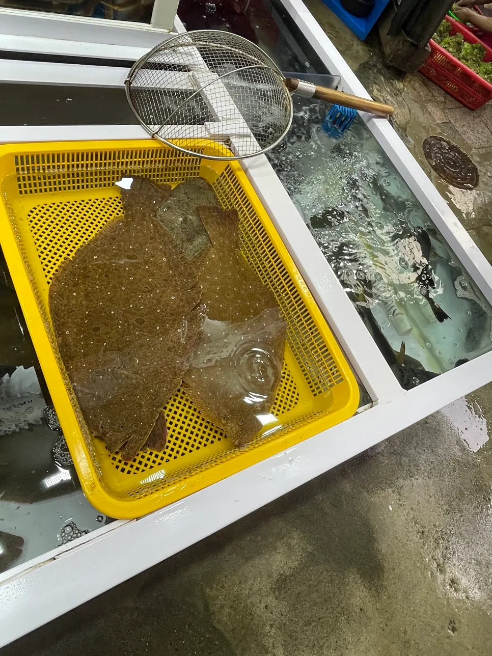 Seafood display stand at Minja Hoetjip
