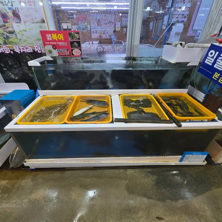 Seafood tank in front of Ilchul Hoetjip