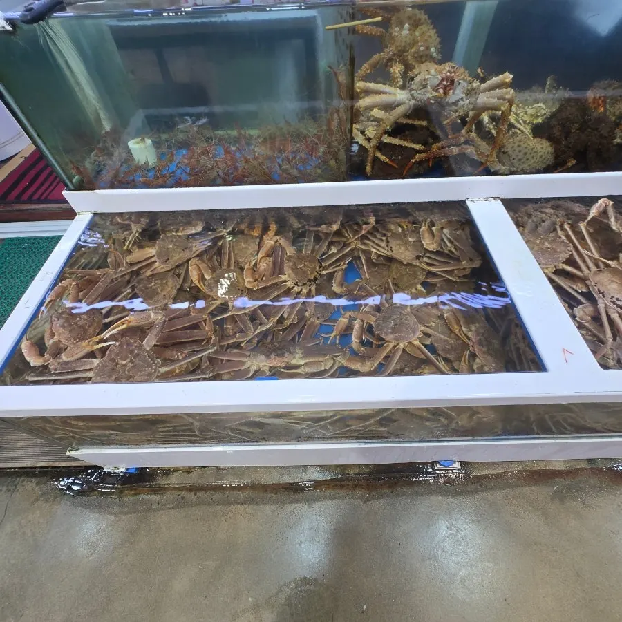 Tank filled with snow crab and other seafood