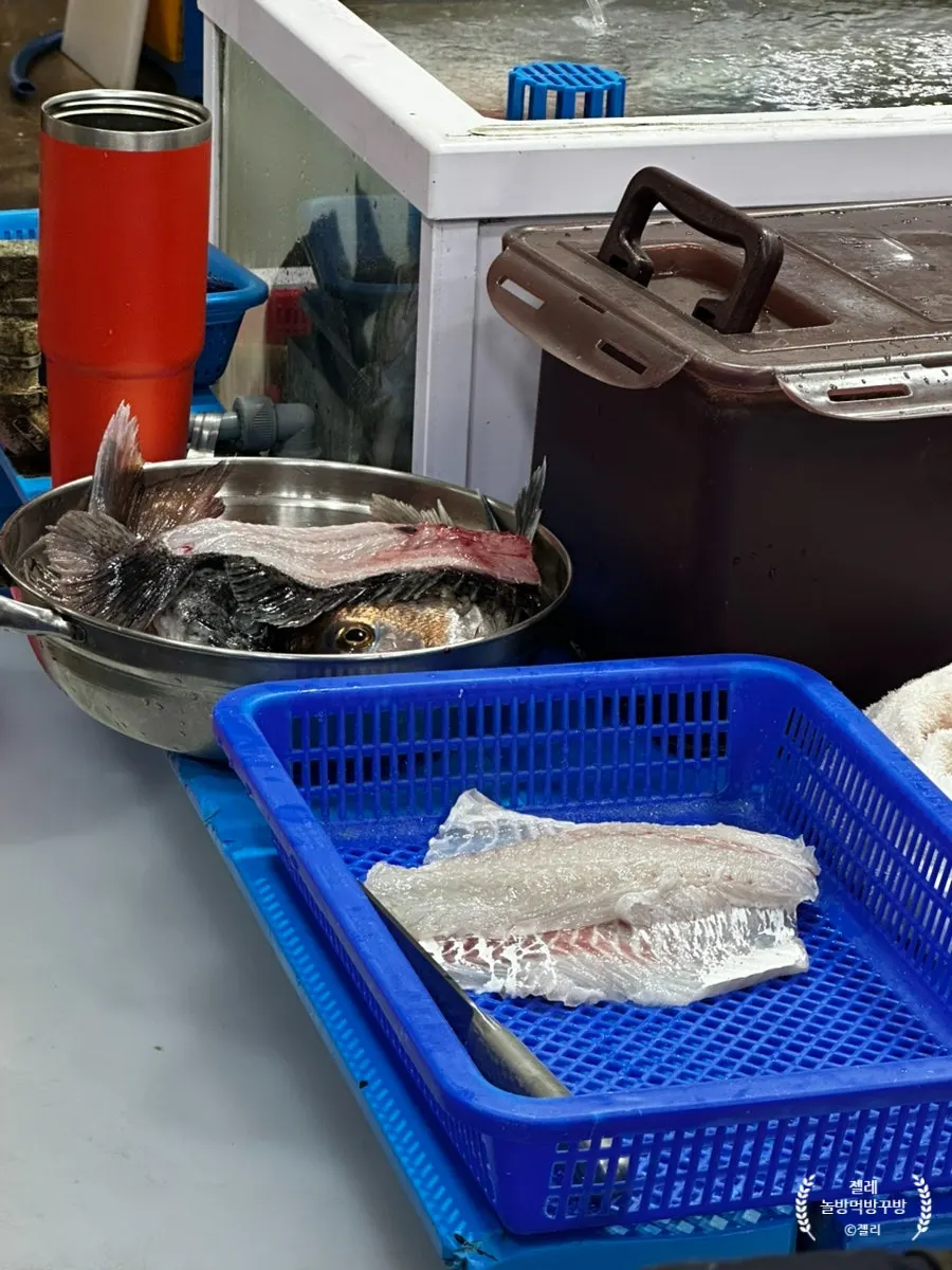 Plate with both rockfish and sea bream sashimi