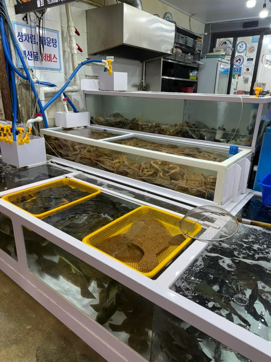 Live fish and seafood in the tank