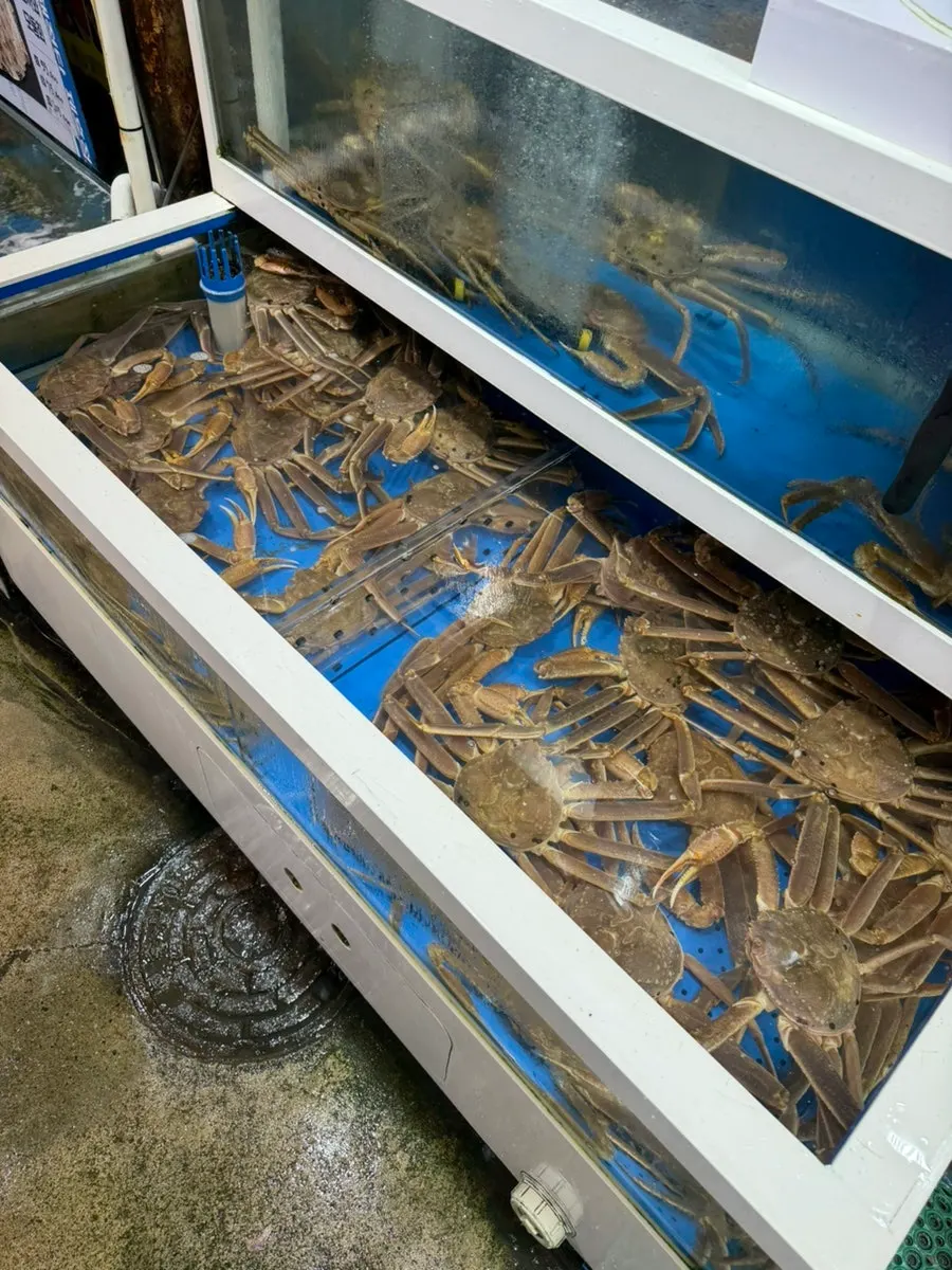 海松生鱼片店今日推荐菜单说明